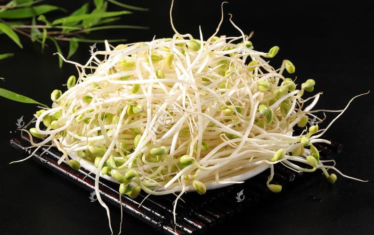 無(wú)公害綠色豆芽，怎么生產(chǎn)出來(lái)的？全套生產(chǎn)過(guò)程如此方便智能